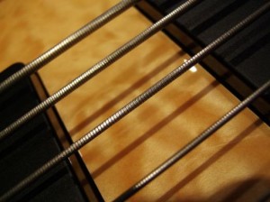 daddario flatwound chromes bass guitar strings